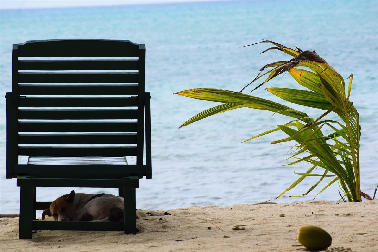 White Coral Beach Resort Radhanagar beach Exterior photo