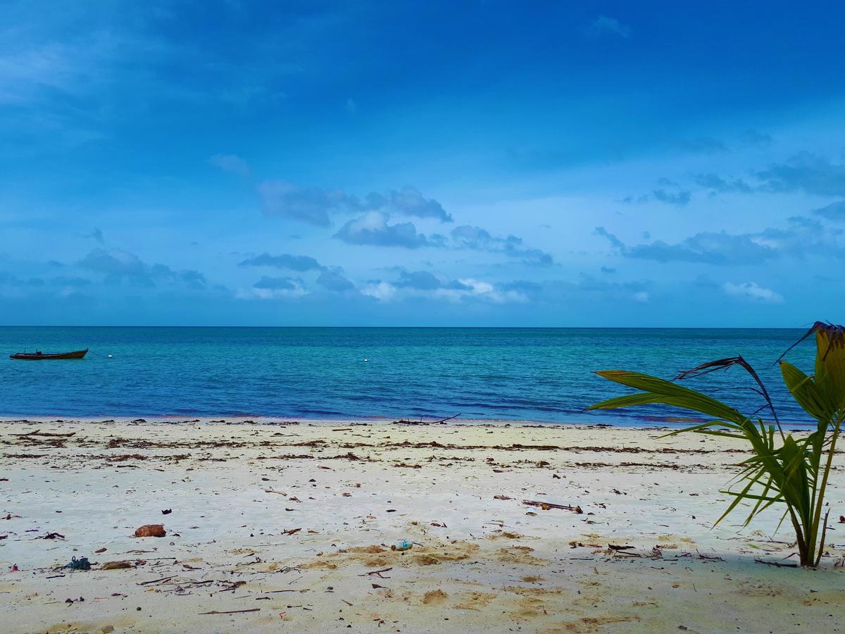 White Coral Beach Resort Radhanagar beach Exterior photo